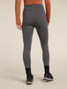 Womens Merino 260 Fastray 25" High Rise Tights Fresh Ferns Obsidian Carob 0A579U