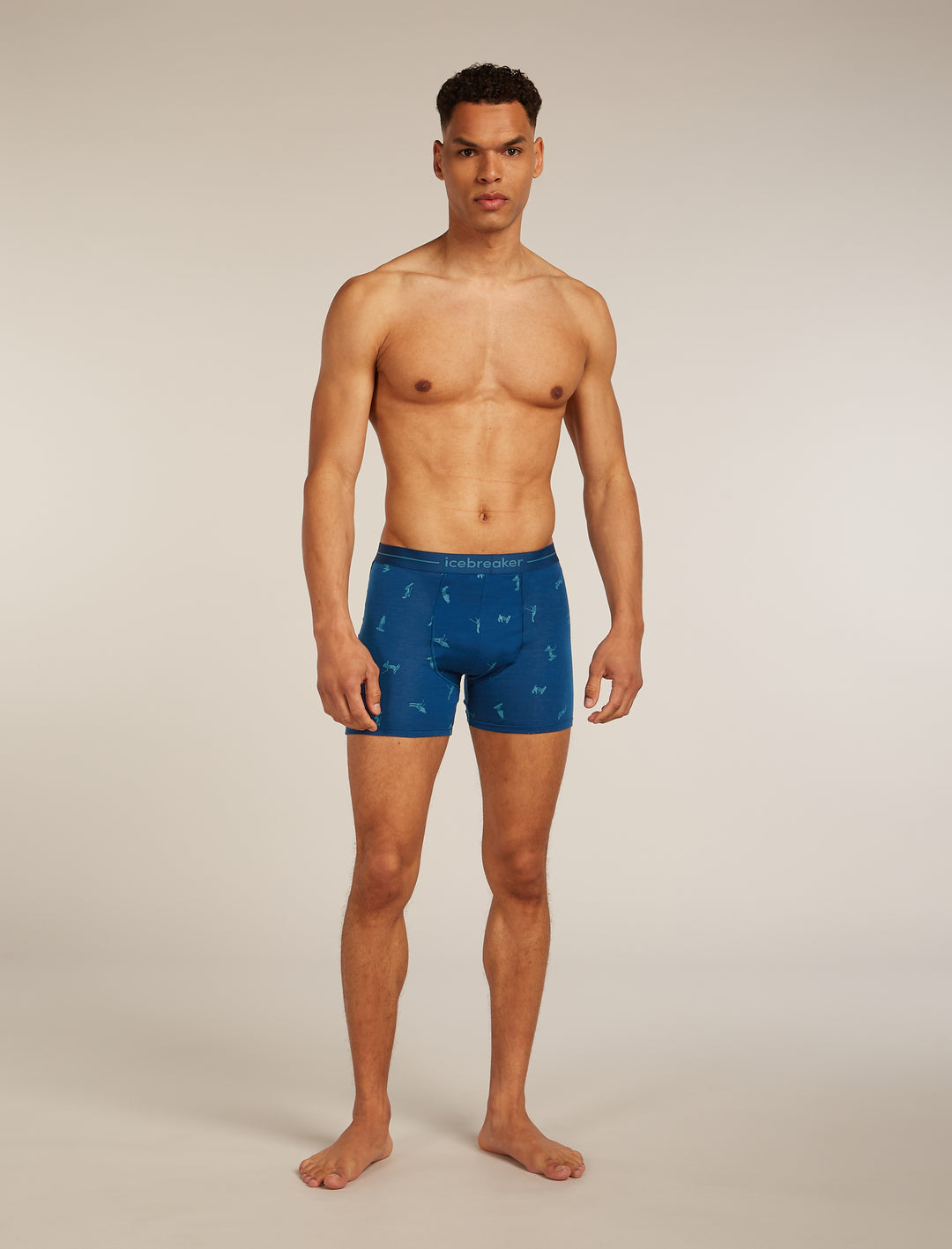 Mens Merino 150 Anatomica Boxers Snow Day Atlantis 0A5734