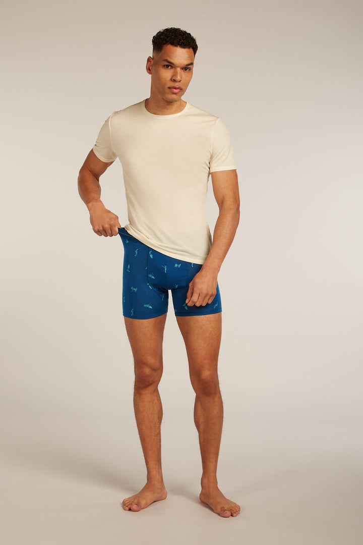 Mens Merino 150 Anatomica Boxers Snow Day Atlantis 0A5734