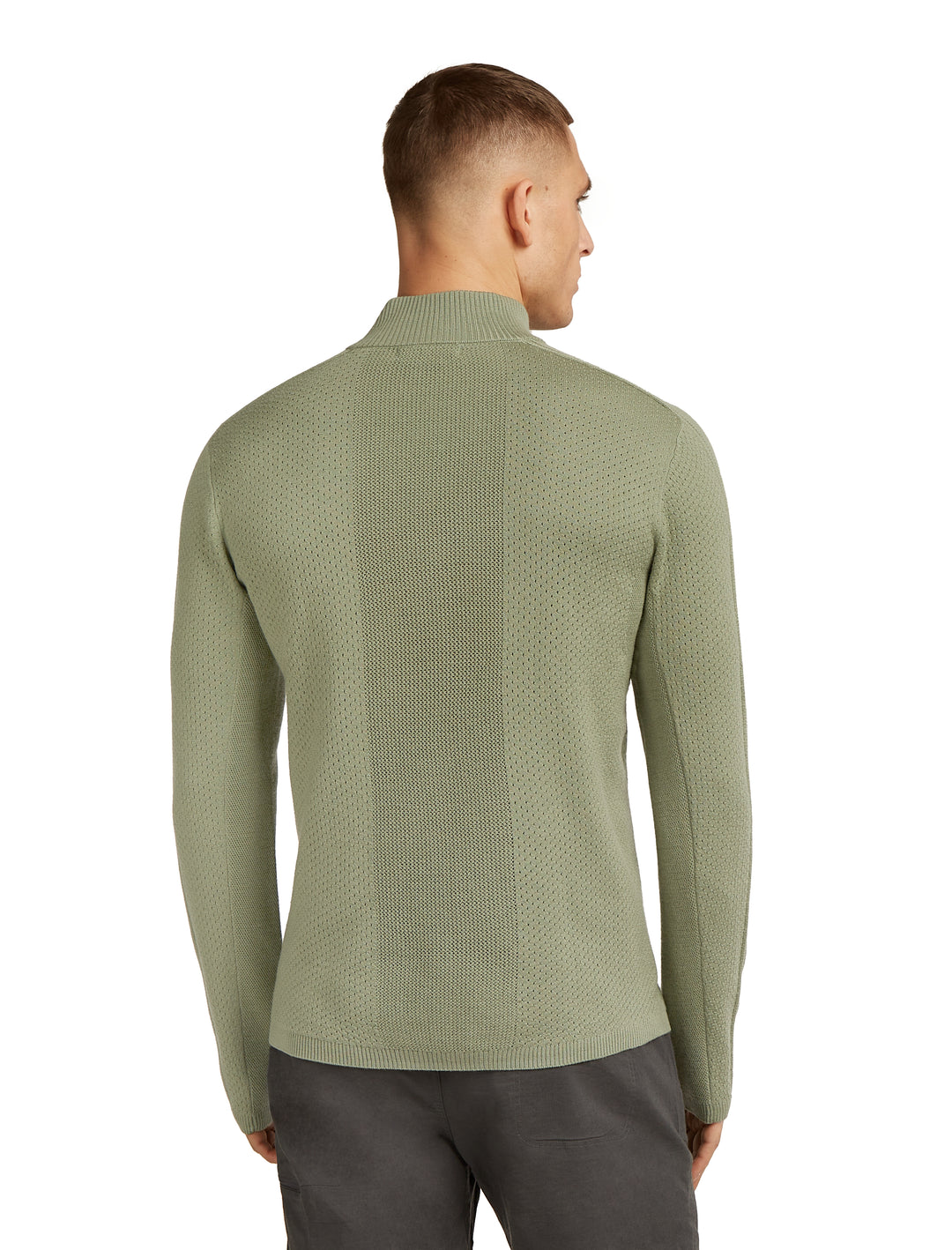 Mens Merino Icebreaker Anniversary Original LS Half Zip