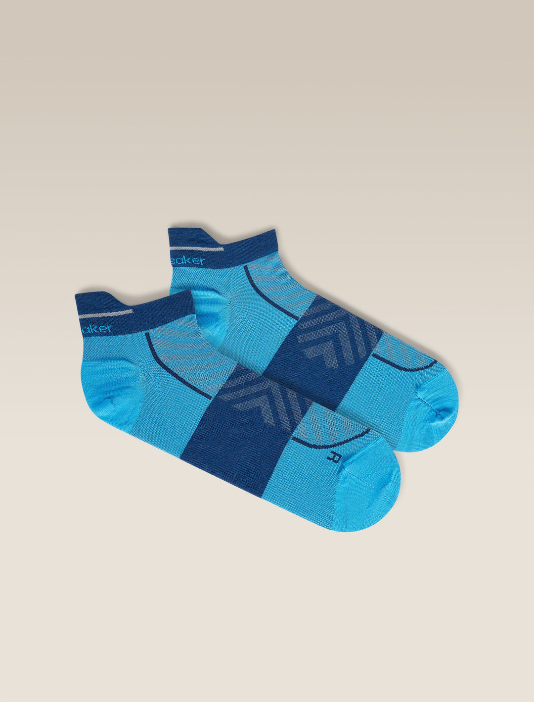 Mens Merino Blend Run+ Ultralight Micro Socks  Arctic/Atlantis 0A56VH