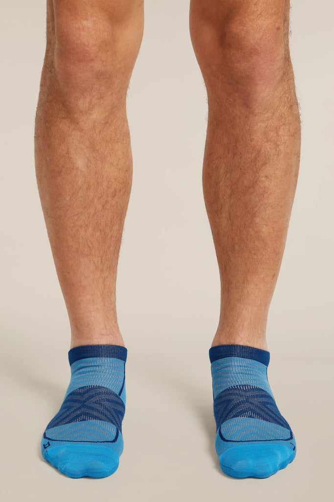 Mens Merino Blend Run+ Ultralight Micro Socks  Arctic/Atlantis 0A56VH
