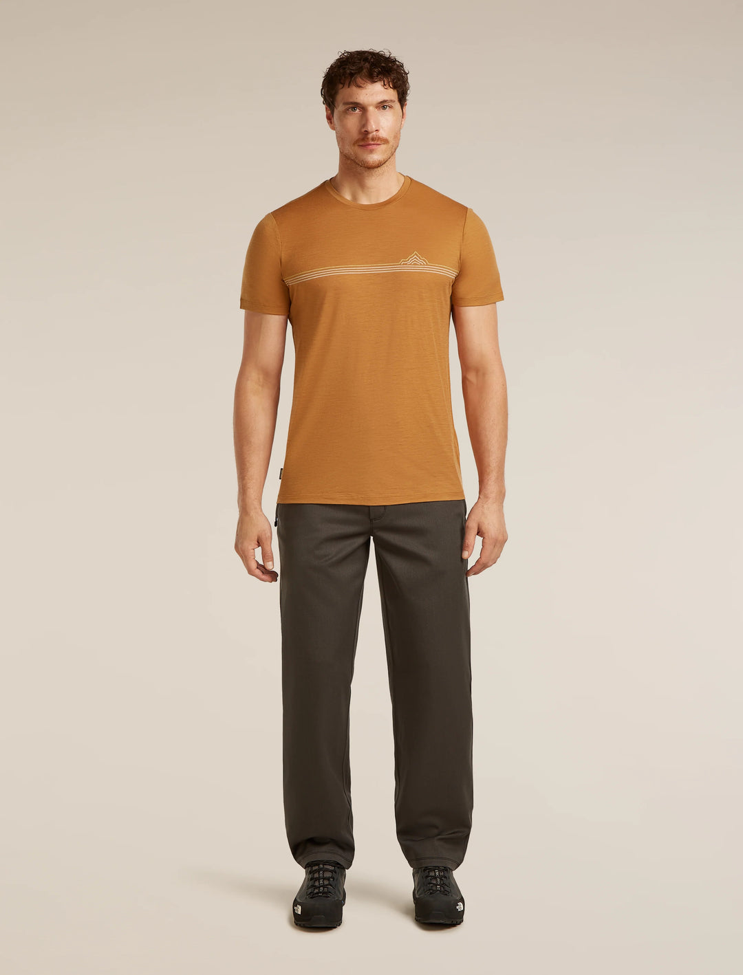 Mens Merino 150 Tech Lite Short Sleeve T-Shirt  Range Stripes Trail 0A57FO