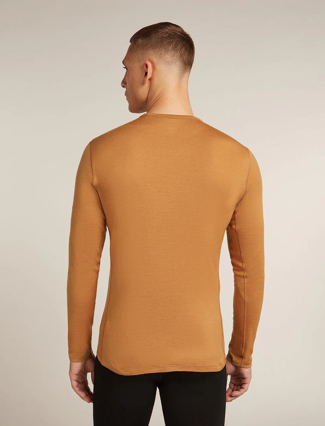 Mens Merino 260 Tech LS Crew Neck Thermal Top Trail 104371