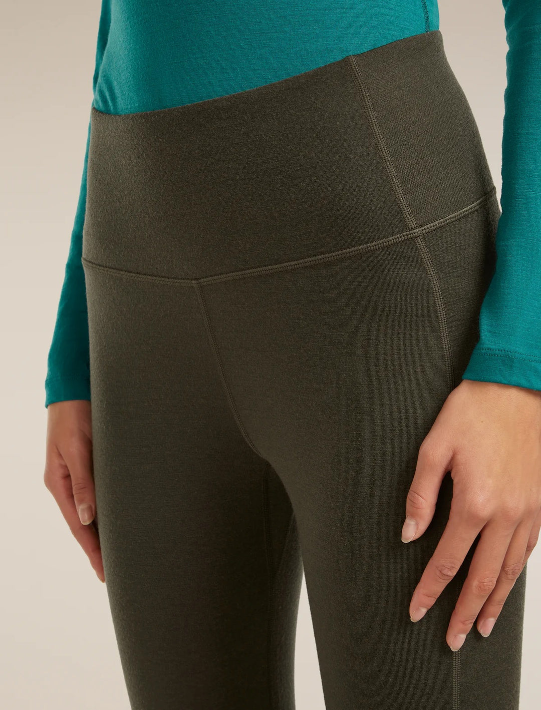Womens Merino 260 Fastray II 25" High Rise Tights Dark Loden 0A56XI