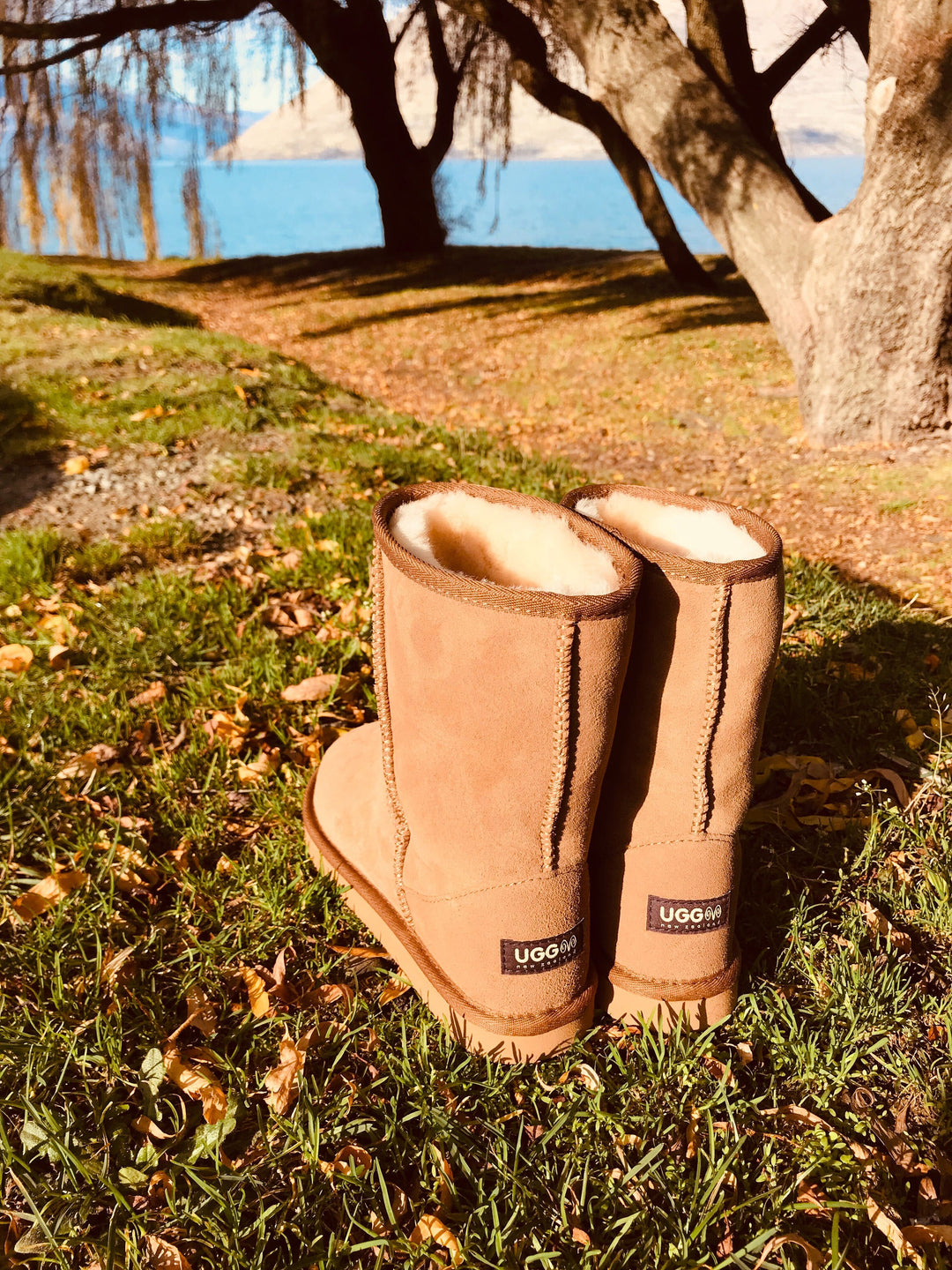 Mi Woolies Original Short Ugg Boot Walnut | thewoolpress.com